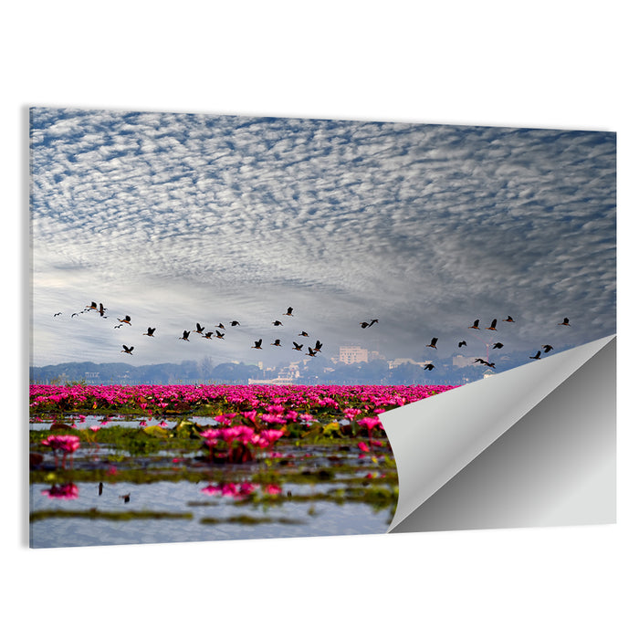 Red Lotus Lake Wall Art as a poster print