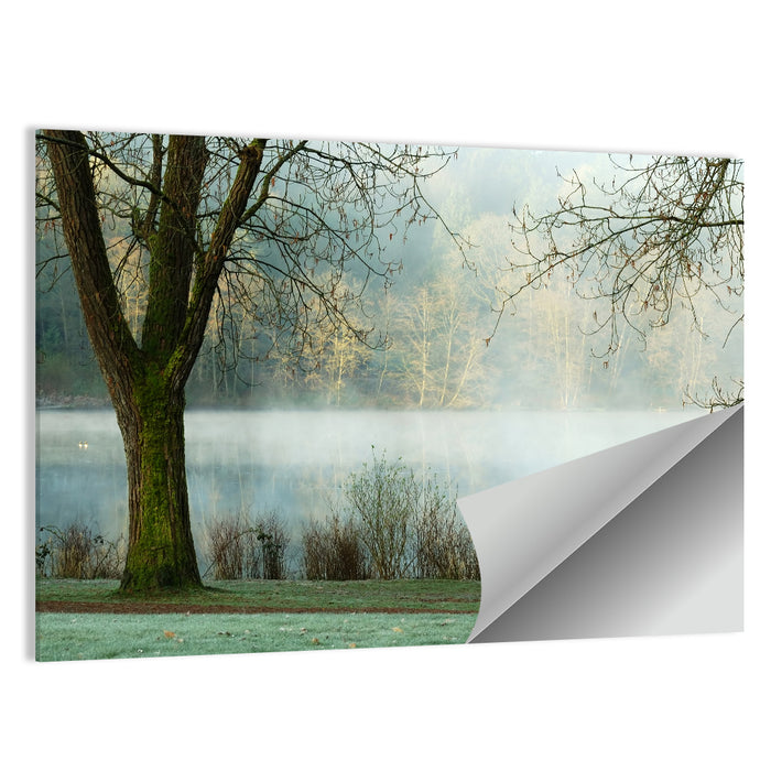 Deer Lake, Burnaby Wall Art as a poster print