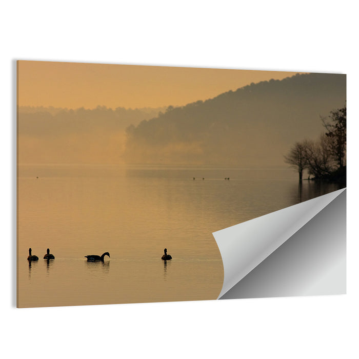 Lake Degray Geese Silhouette Wall Art as a poster print