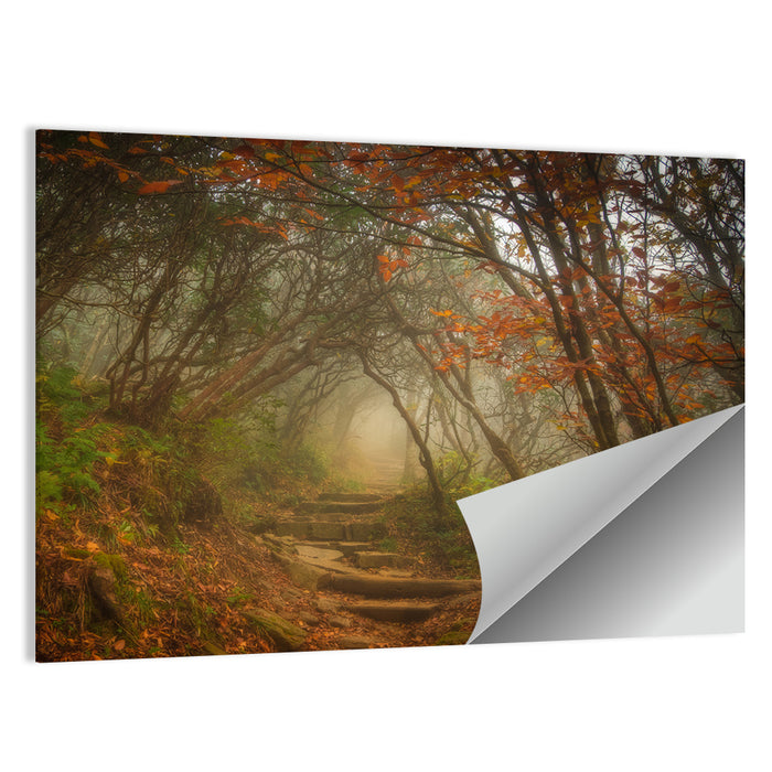 Craggy Garden Path Wall Art as a poster print