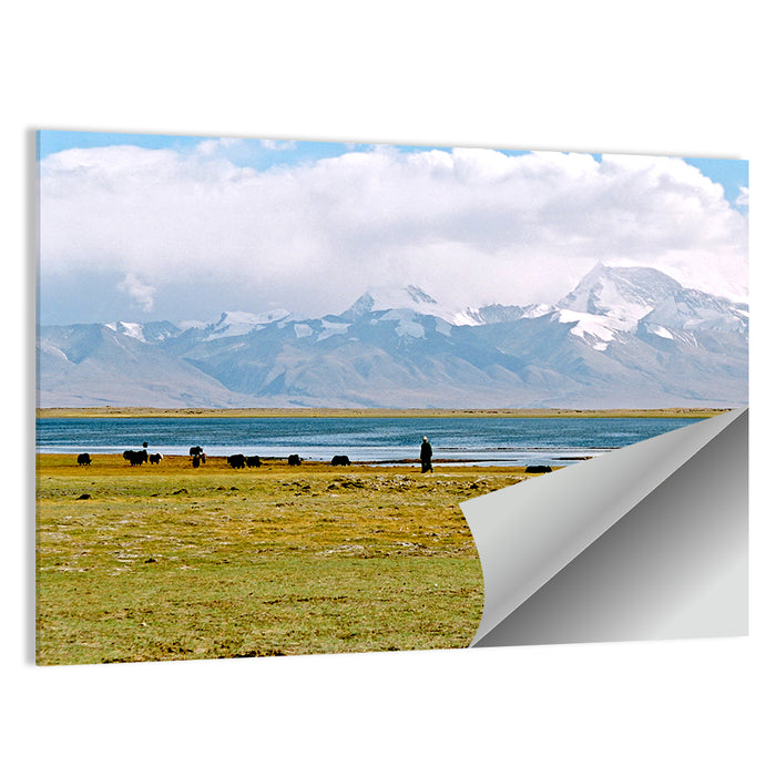 Mount Kailash from Lake Manasarovar Wall Art as a poster print