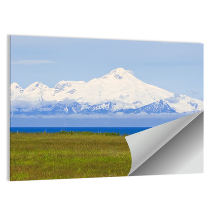 Mount Iliamna Volcano Wall Art