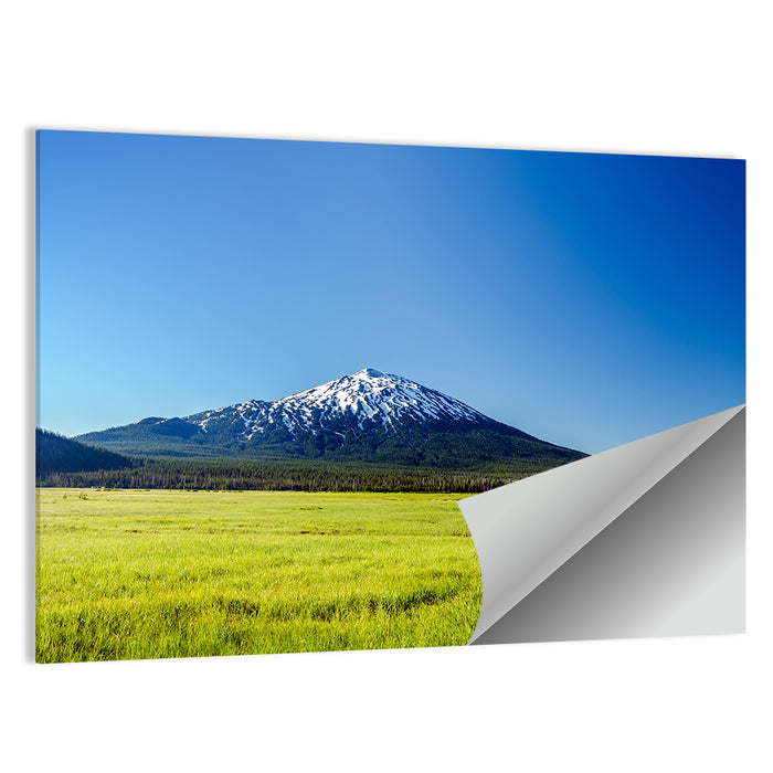 Mount Bachelor Wall Art as a poster print