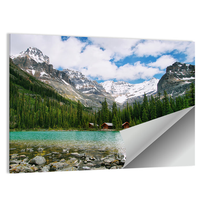 Lake O'hara Wall Art as a poster print