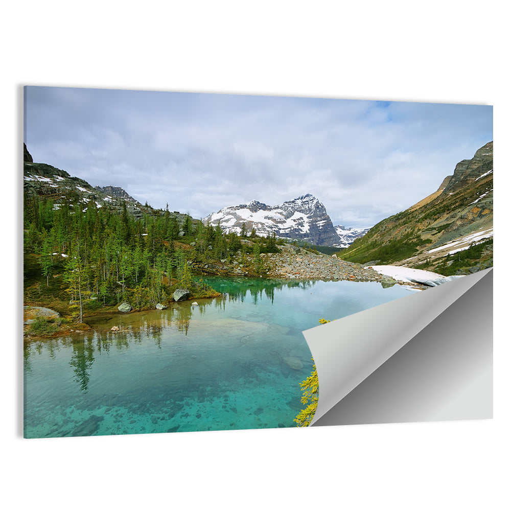 Lefroy Lake Wall Art