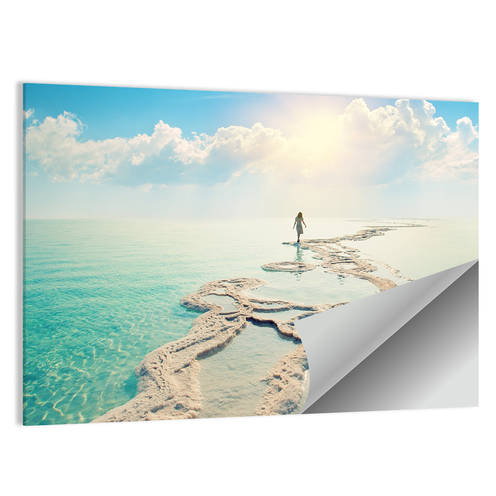 Dead Sea Salty Shore Wall Art