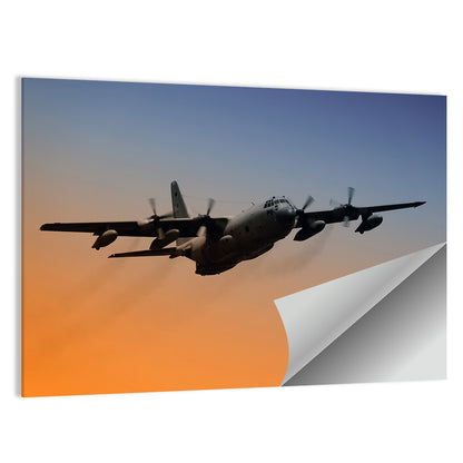 Military Plane Wall Art