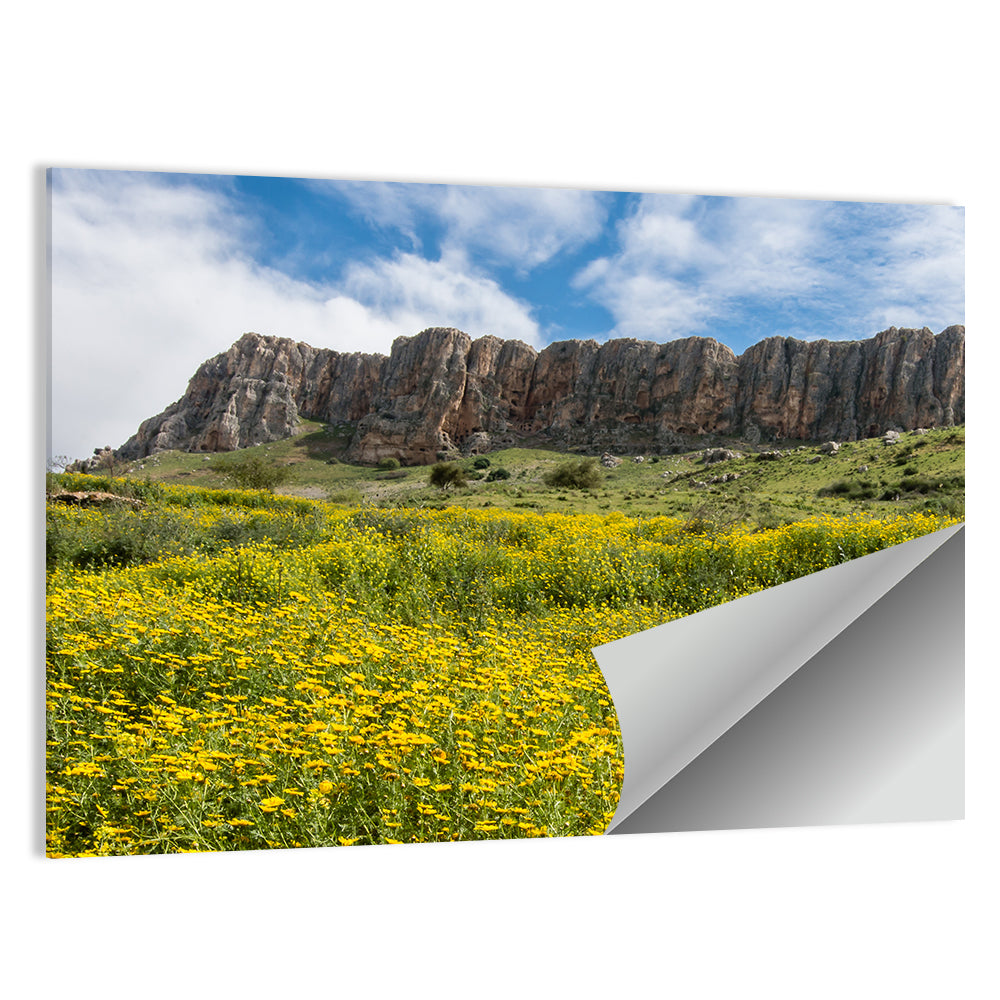 Mount Arbel Wildflower Meadow Wall Art