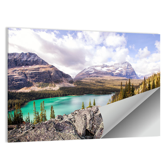 Lake Ohara Rocky Shore Wall Art as a poster print