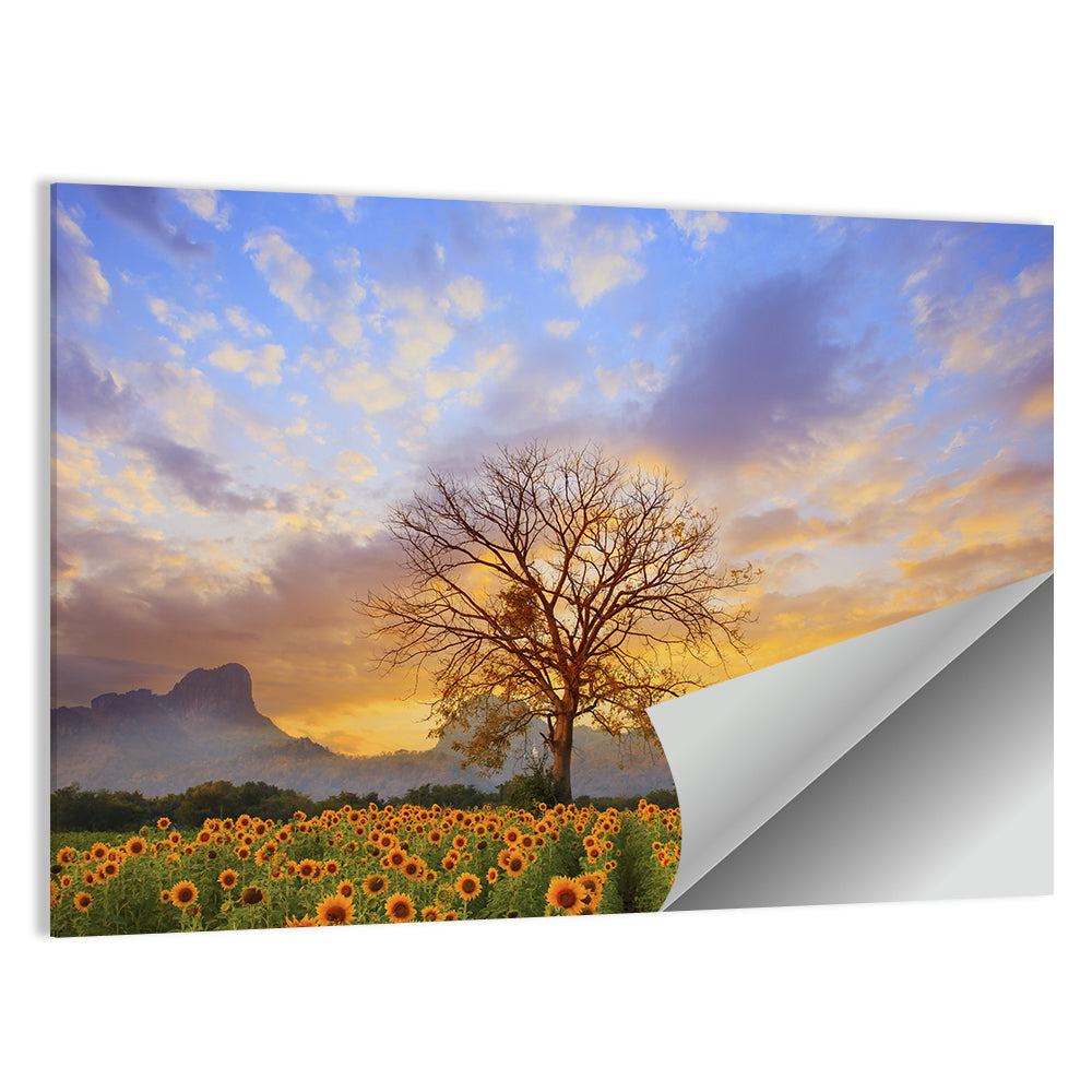 Sunflower Field at Sunset Wall Art