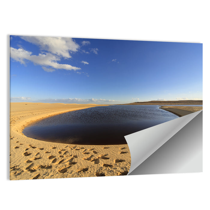 Fayoum Lake Footprints Wall Art as a poster print