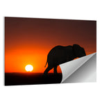 Sunset Elephant Silhouette Wall Art