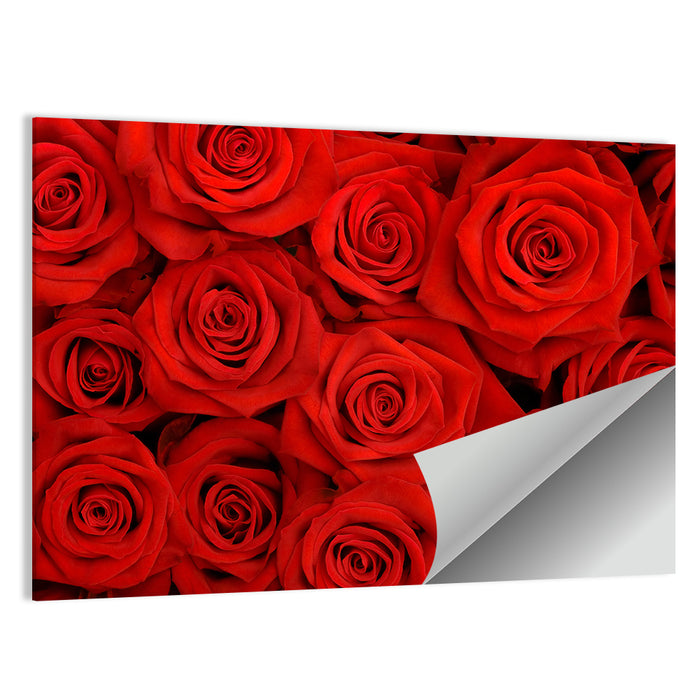 Red Roses Close Up Wall Art as a poster print