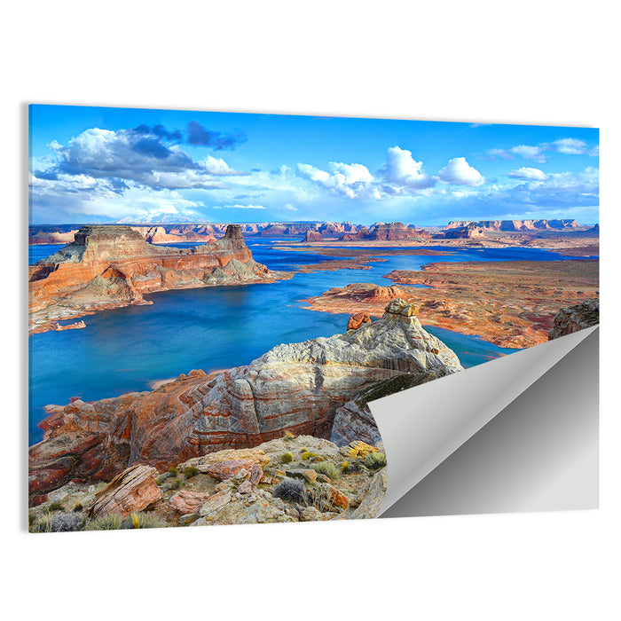 Alstrom Point Arizona Wall Art as a poster print
