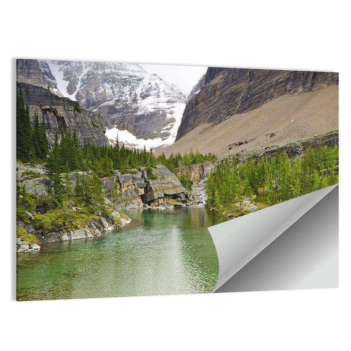 Lake Oesa Alpine View Wall Art as a poster print