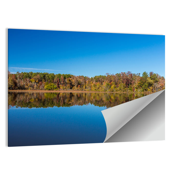 Petit Jean Lake Reflection Wall Art as a poster print