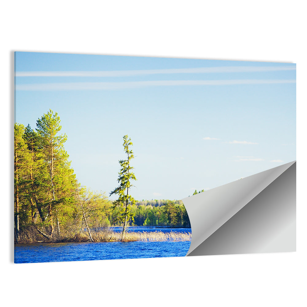 Summer Forest Lake Wall Art