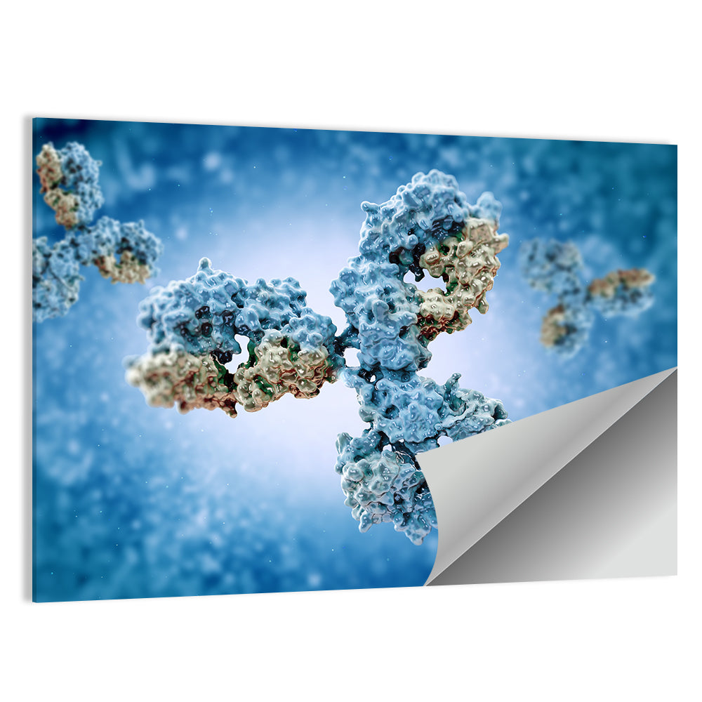 Y-shaped Antibody Illustration Wall Art