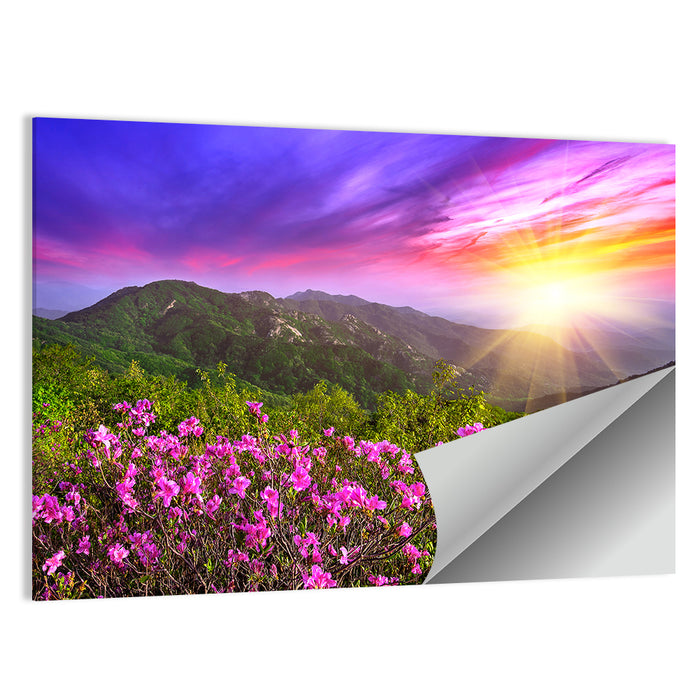 Hwangmaesan Mountain Sunset Wall Art as a poster print