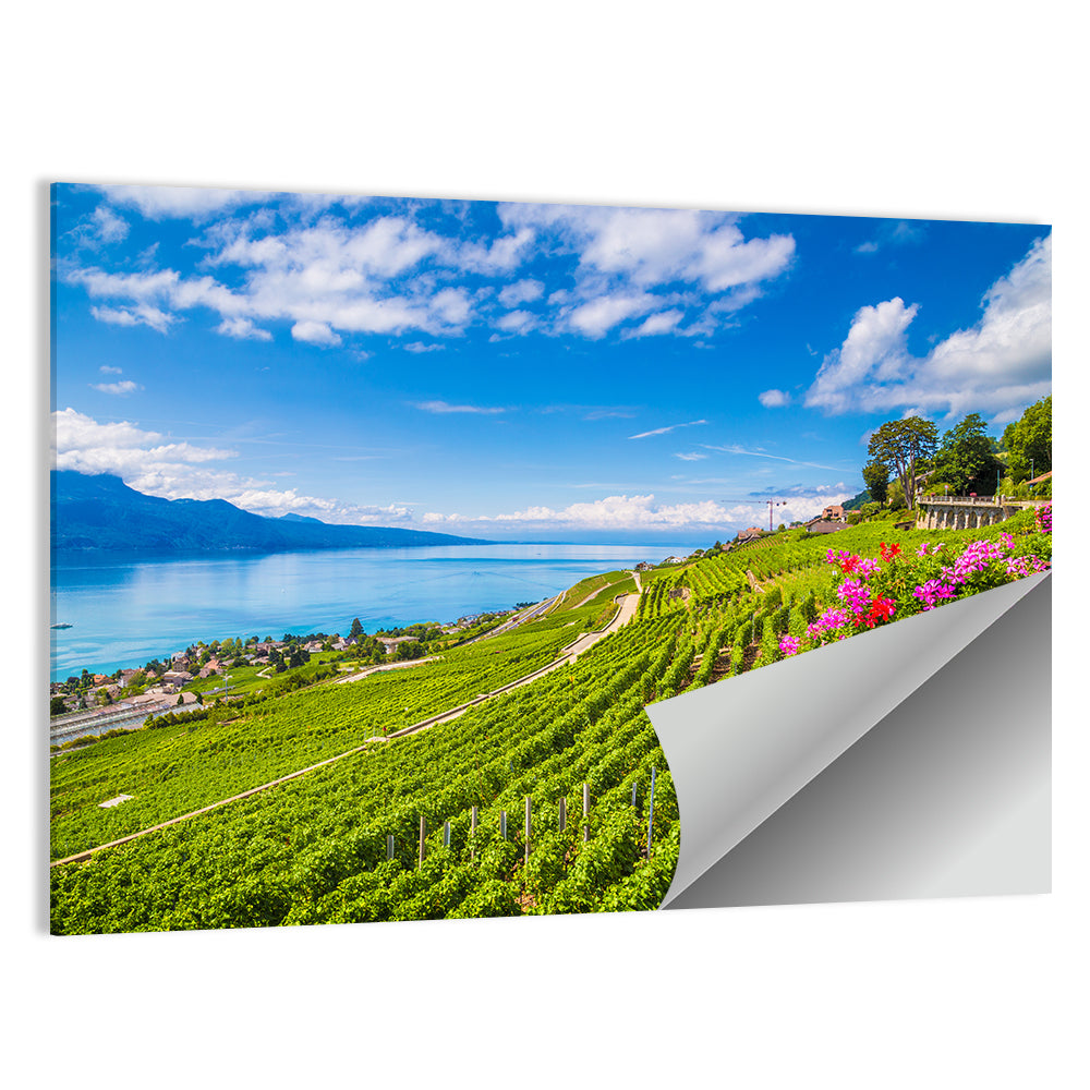 Lavaux Vineyard Terraces Over Lake Geneva Wall Art