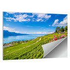 Lavaux Vineyard Terraces Over Lake Geneva Wall Art