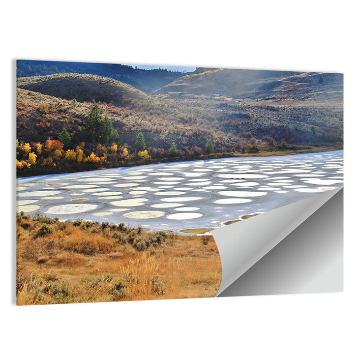 Spotted Lake Osoyoos Wall Art as a poster print