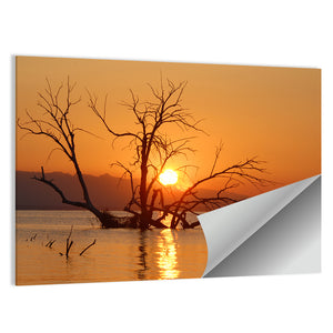 Salton Sea Sunrise Wall Art