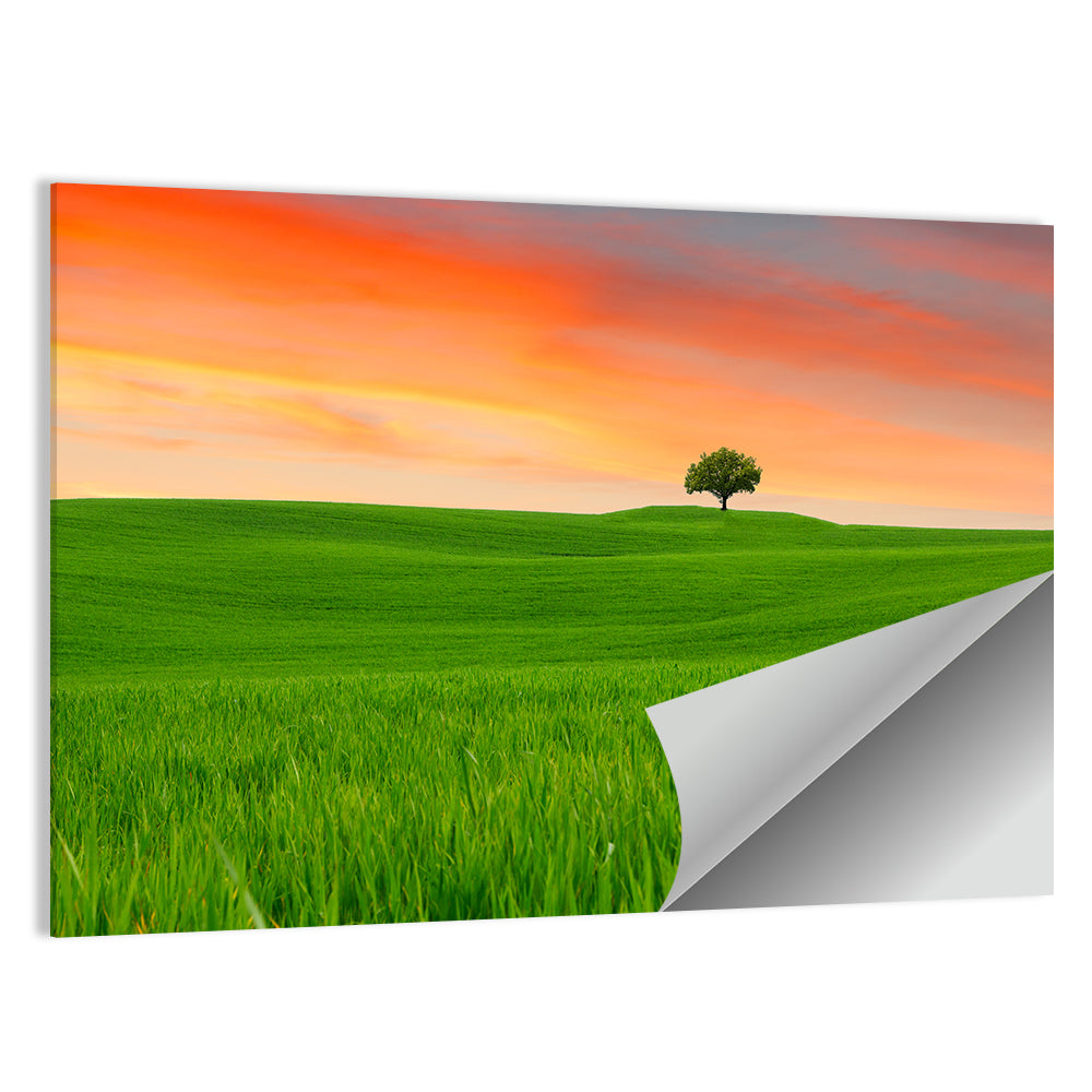 Tuscany Sunset Hills Wall Art