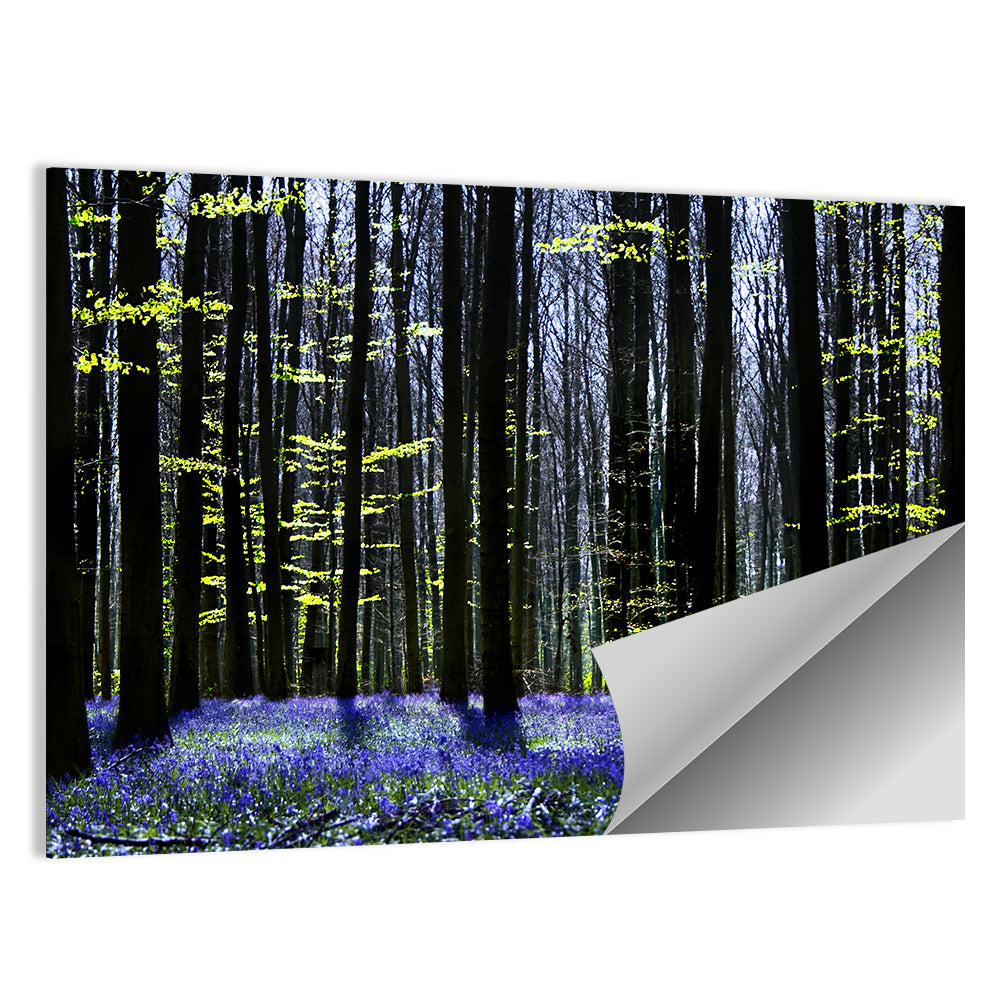 Bluebell Symphony Wall Art