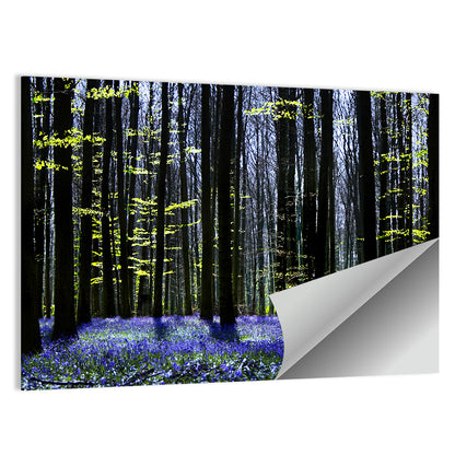 Bluebell Symphony Wall Art