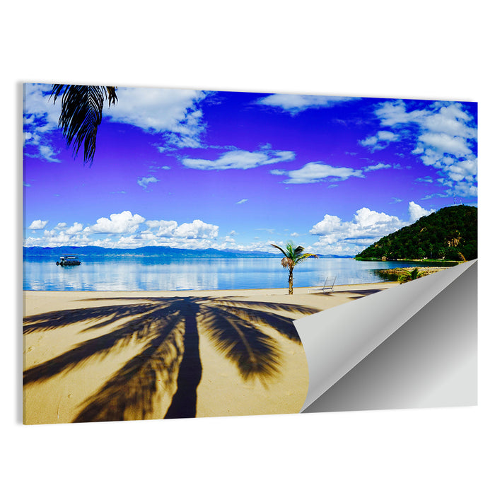 Lake Malawi Palm Shadow Wall Art as a poster print