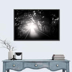 Foggy Forest Bridge Wall Art