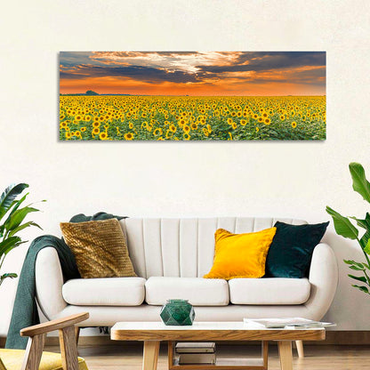 Sunflower Field Wall Art