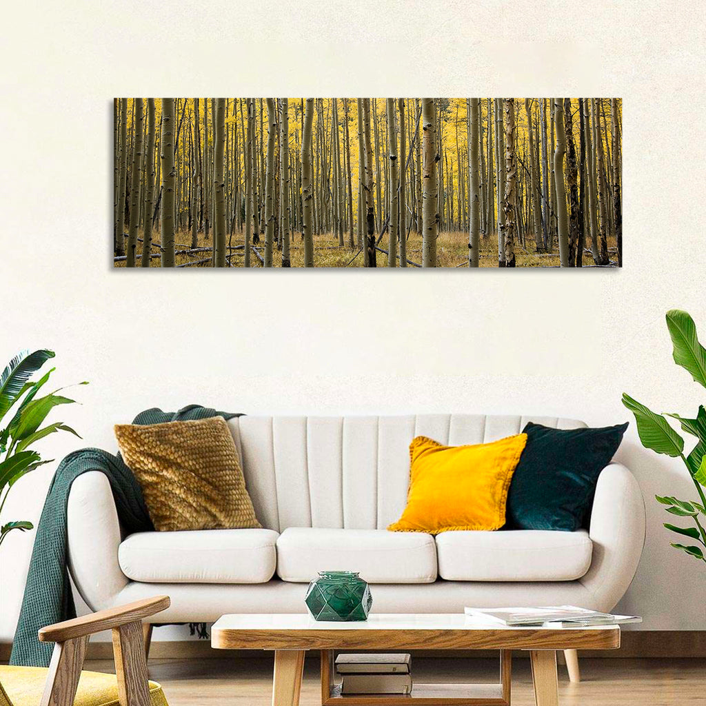Golden Aspen Grove, Colorado Wall Art