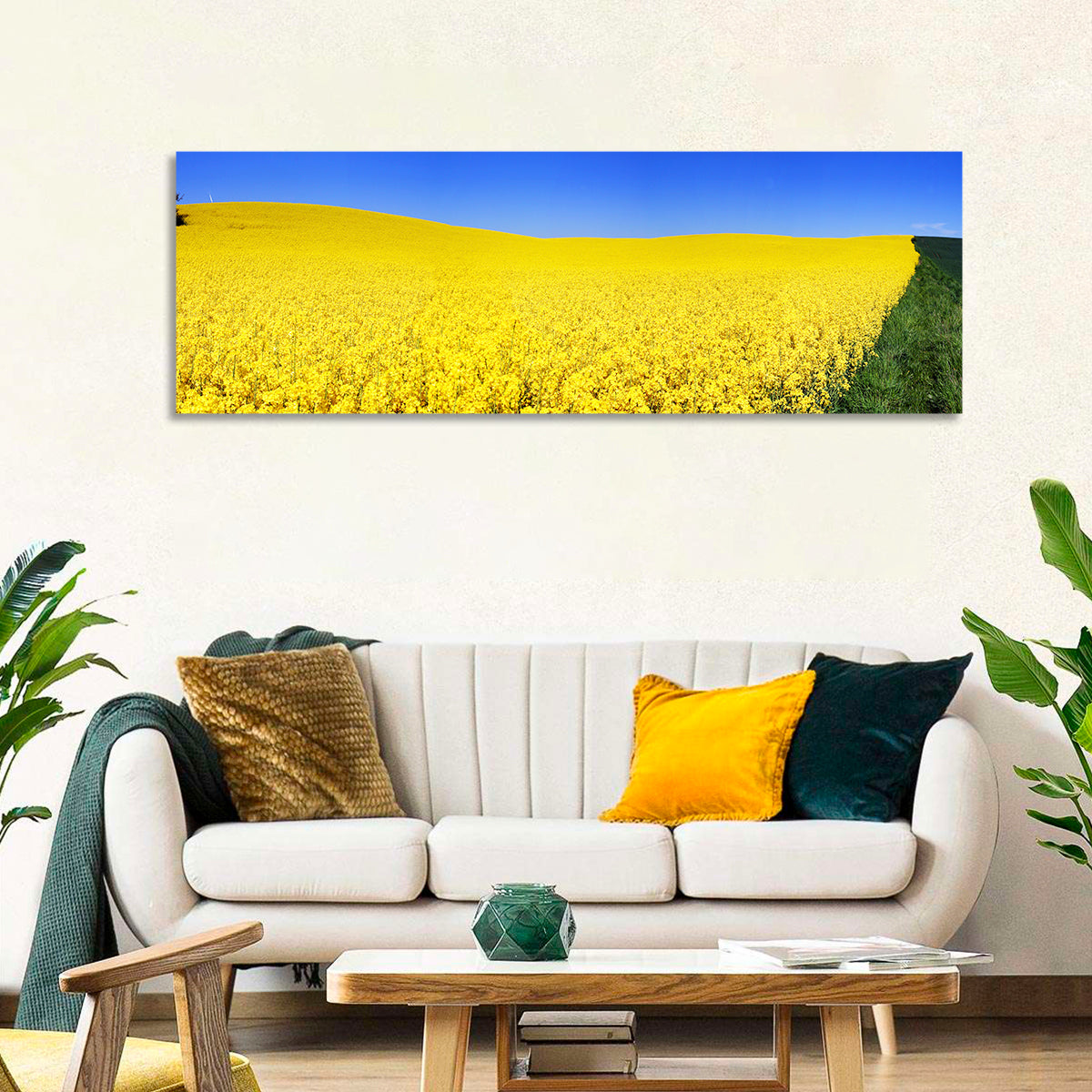 Sunlit Rapeseed Field Wall Art in a room, panoramic