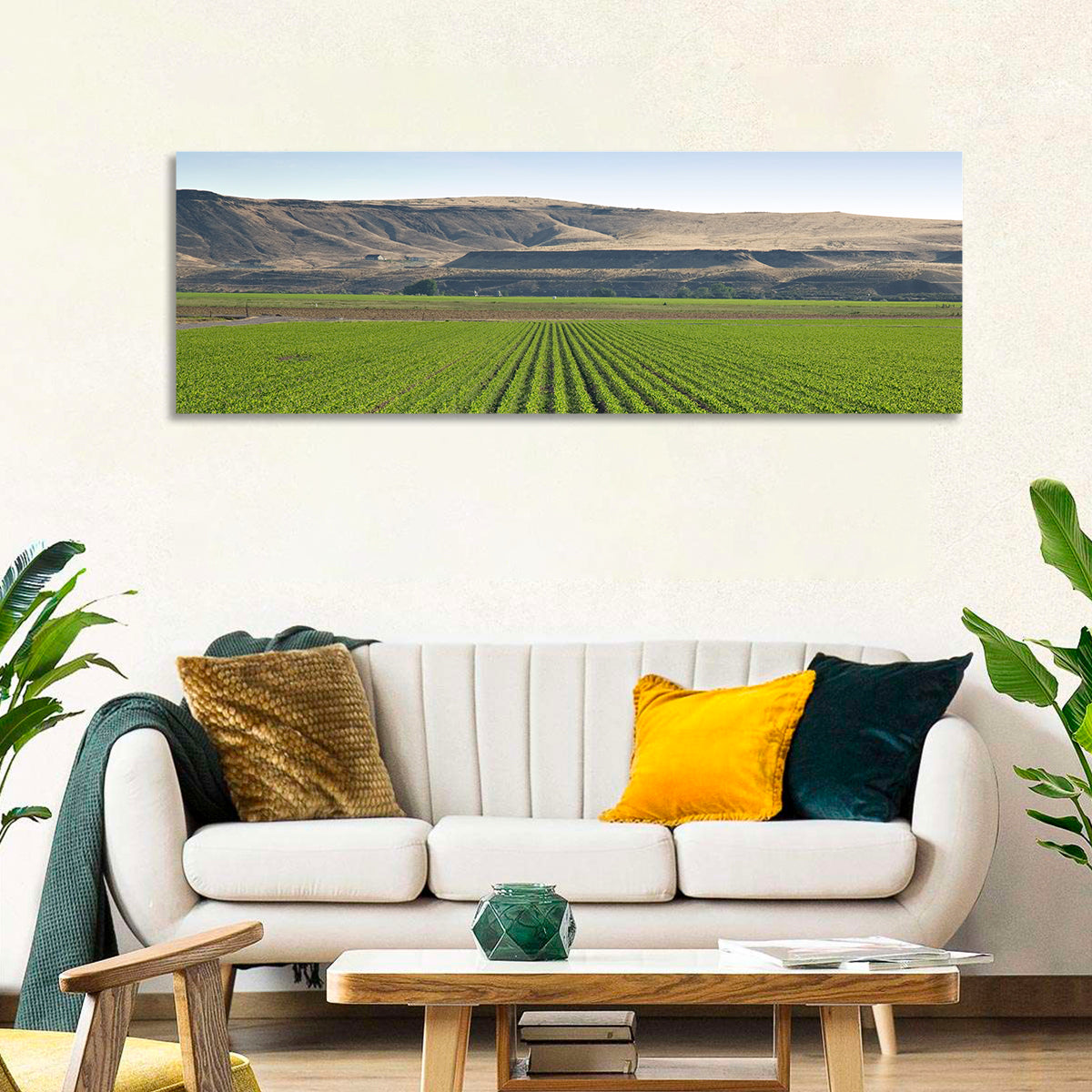 Idaho Corn Field Wall Art in a room, panoramic