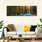 Sunlit Redwood Highway Wall Art