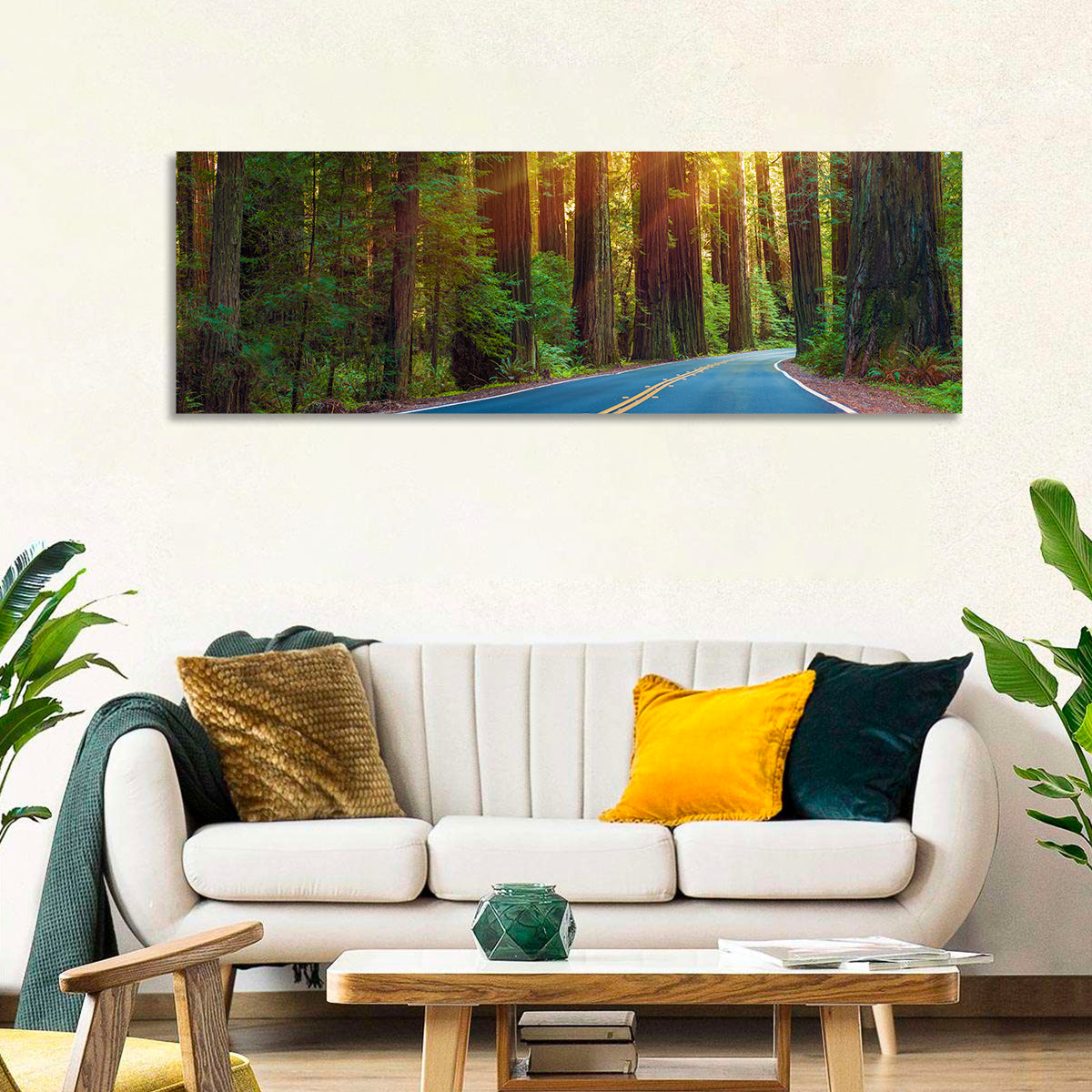 Sunlit Redwood Highway Wall Art