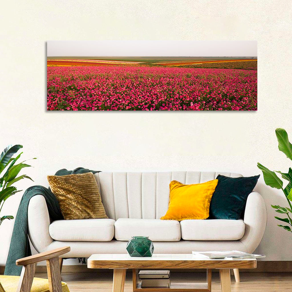 Pink Ranunculus Flower Field Wall Art