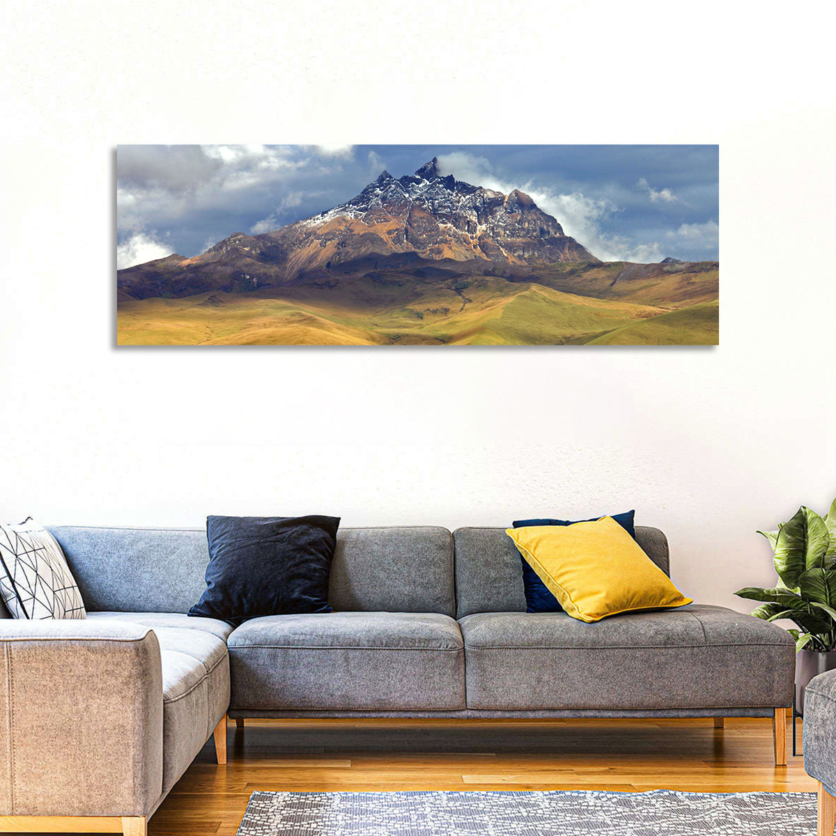 Antisana Volcano Landscape Wall Art in a room, panoramic