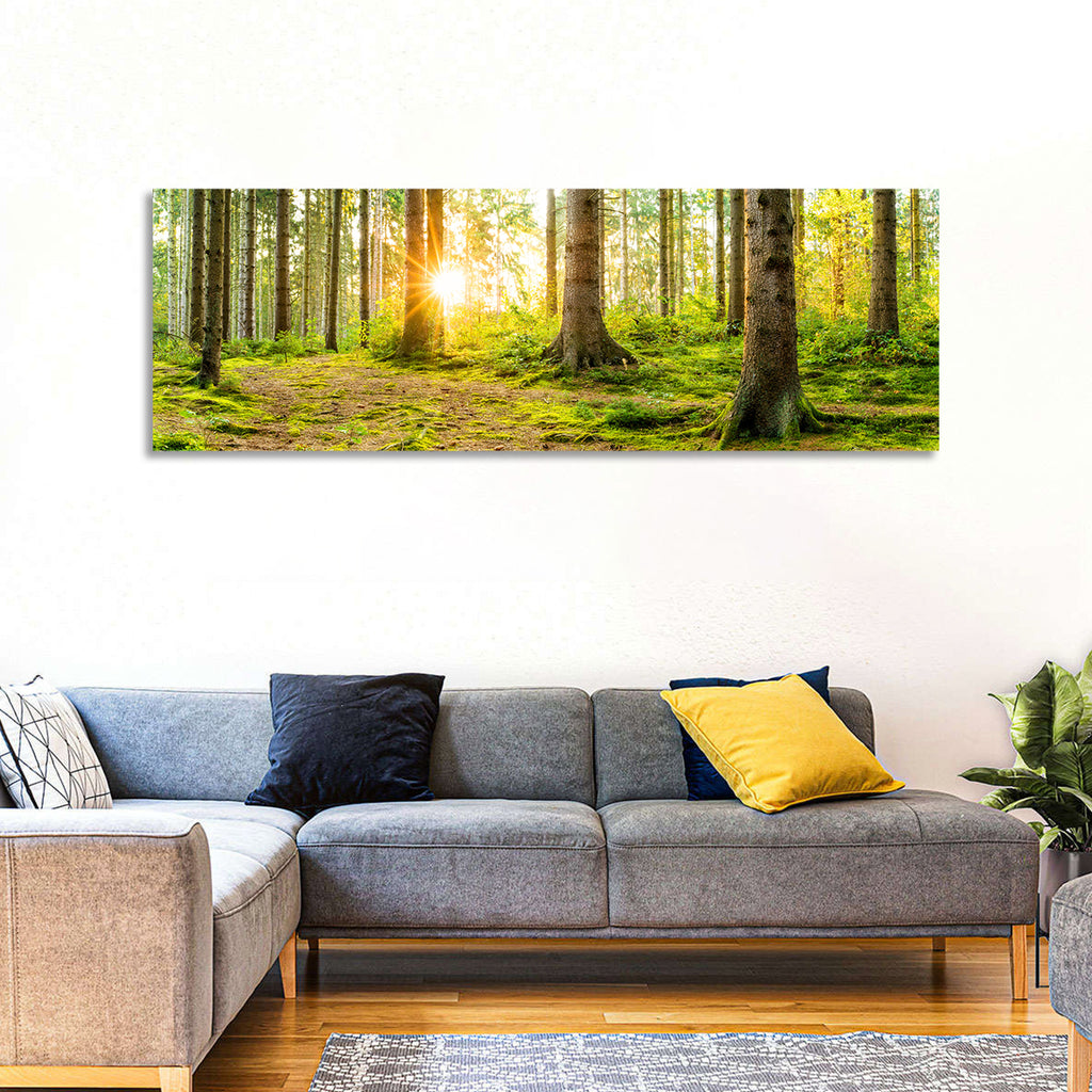 Sunburst Over Mossy Forest Wall Art