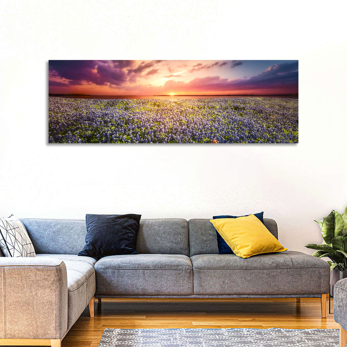 Texas Bluebonnet Sunset Wall Art in a room, panoramic
