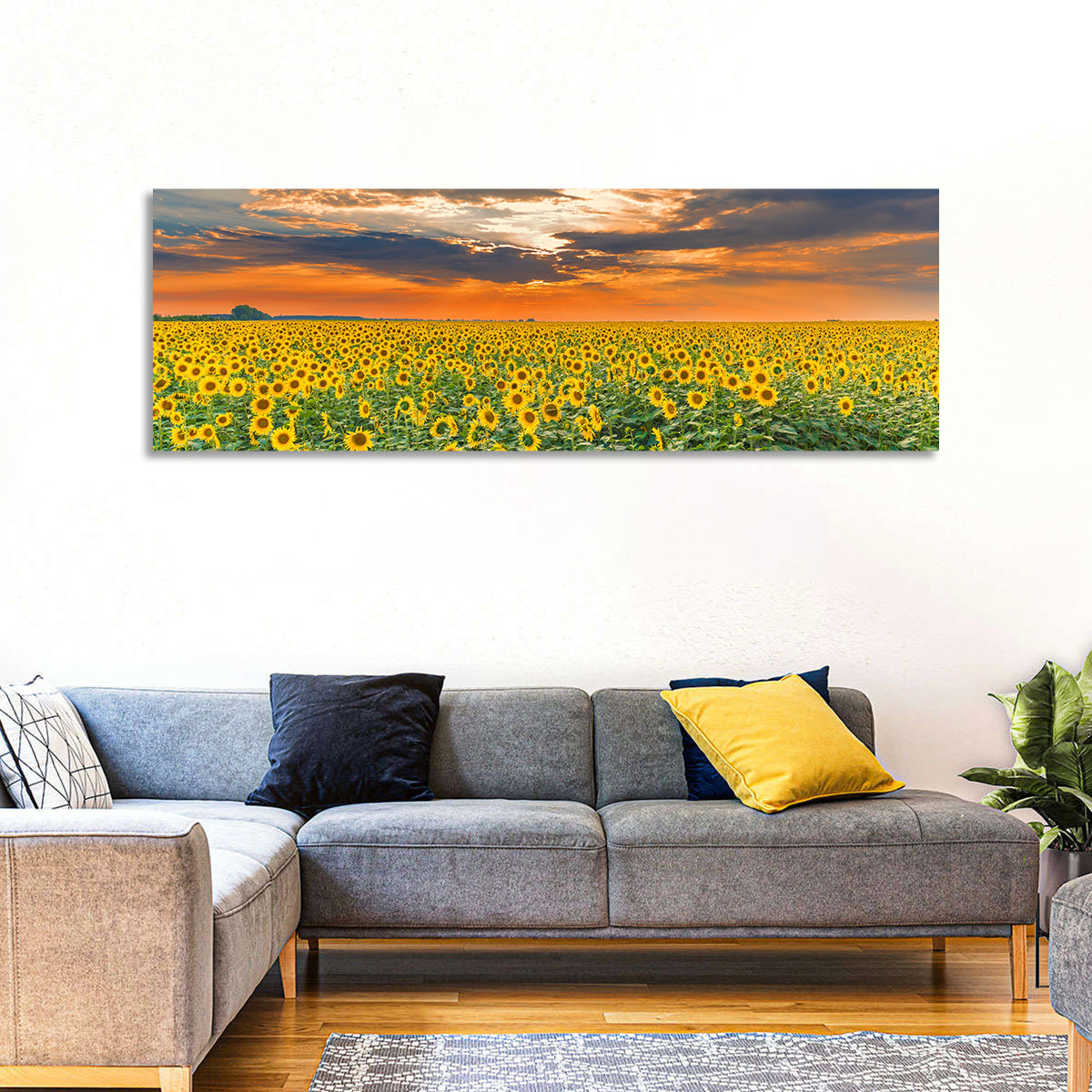 Golden Hour Sunflower Field Wall Art in a room, panoramic