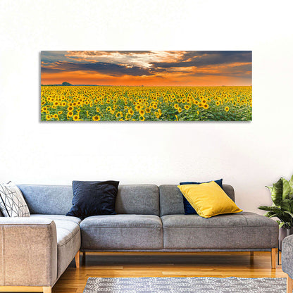 Sunflower Field Wall Art