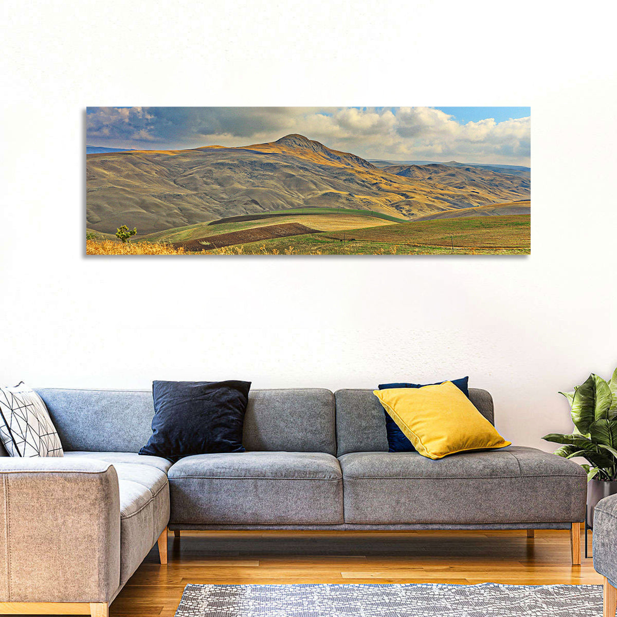 Shamakhi Valley Harvest Fields Wall Art in a room, panoramic