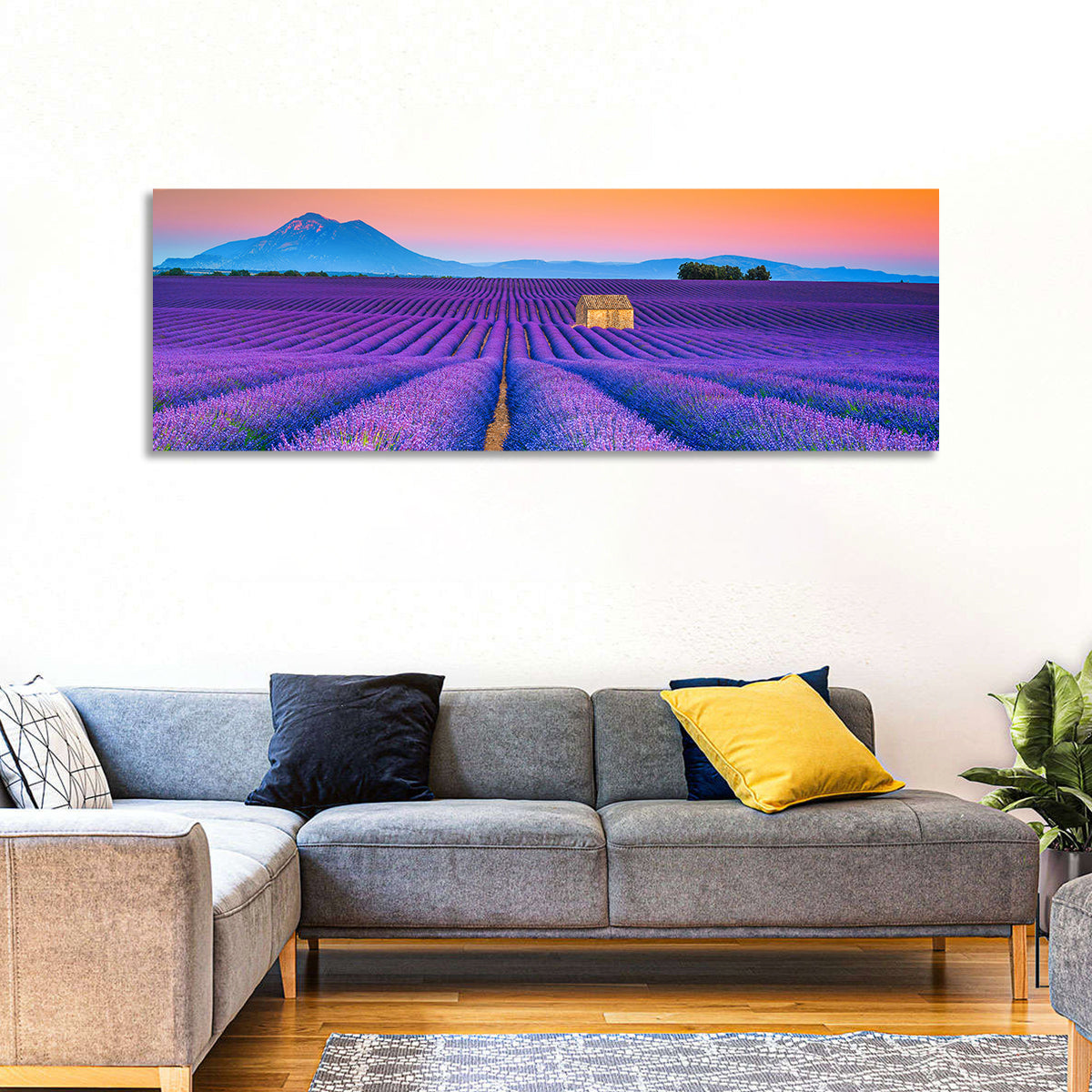 Valensole Lavender Fields at Sunset Wall Art in a room, panoramic
