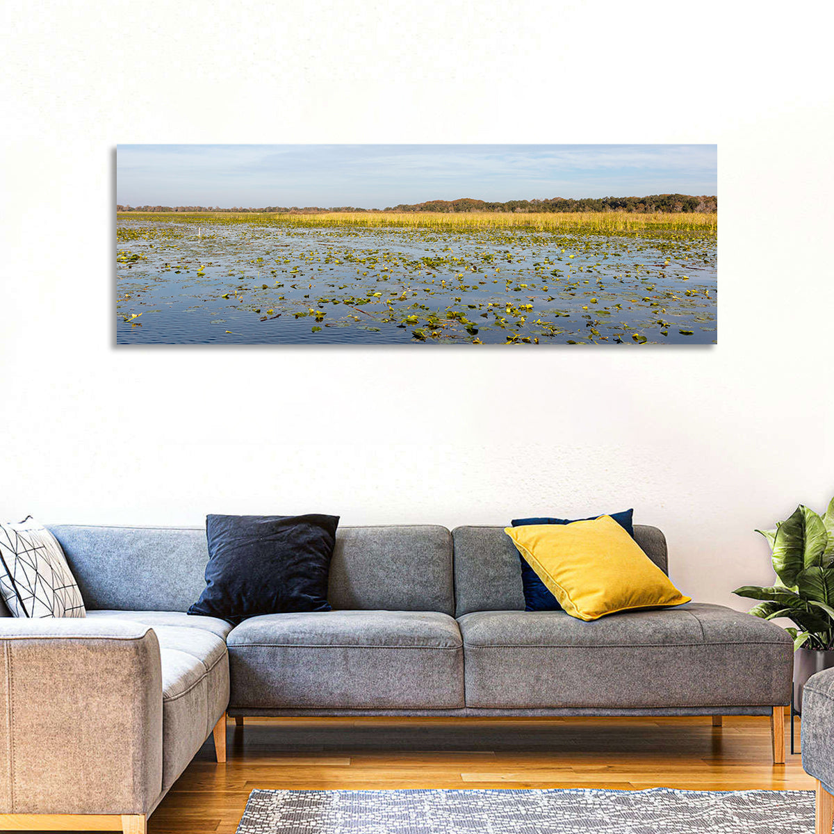 Lake Toho Lily Pads Wall Art in a room, panoramic
