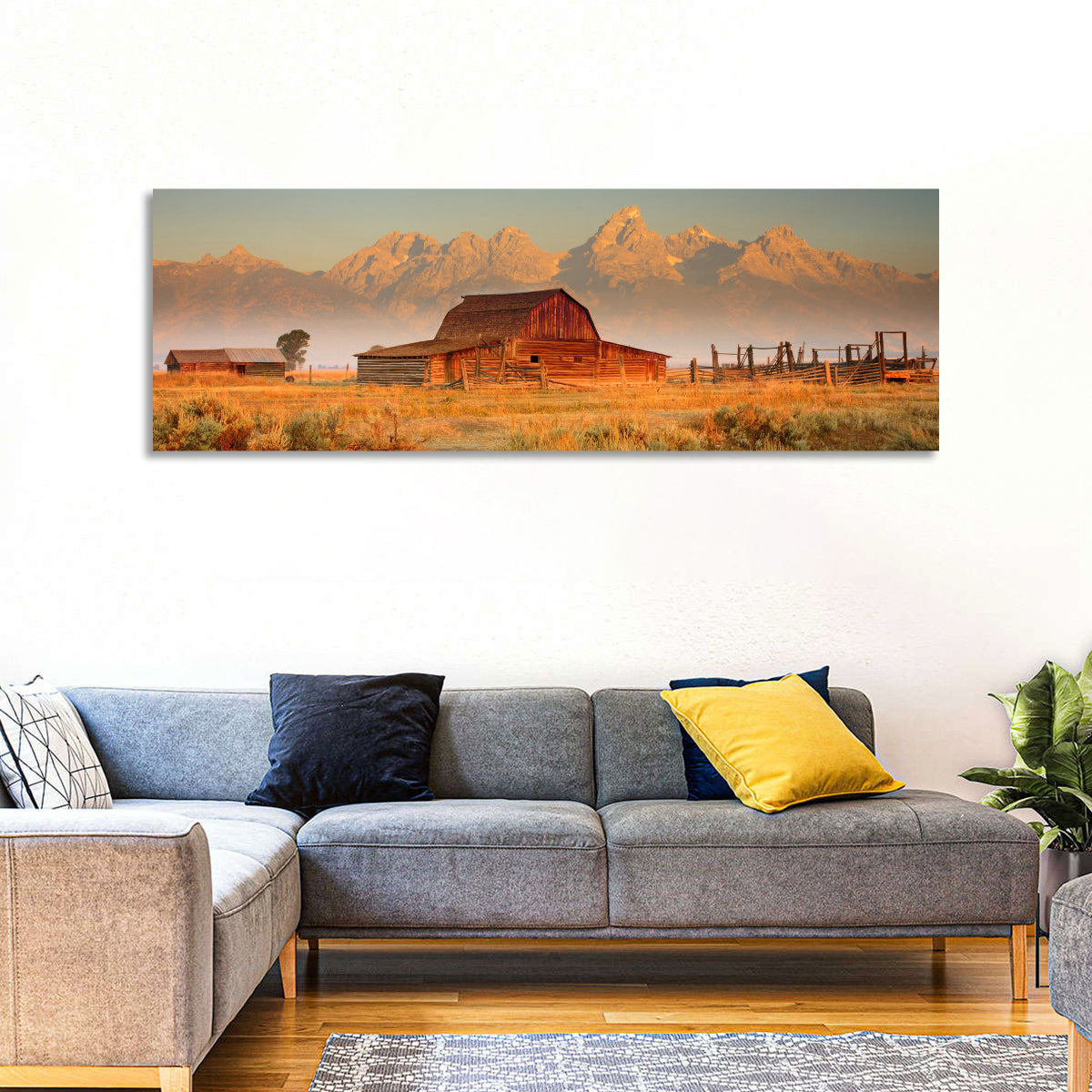 Moulton Barn, Grand Teton Wall Art in a room, panoramic