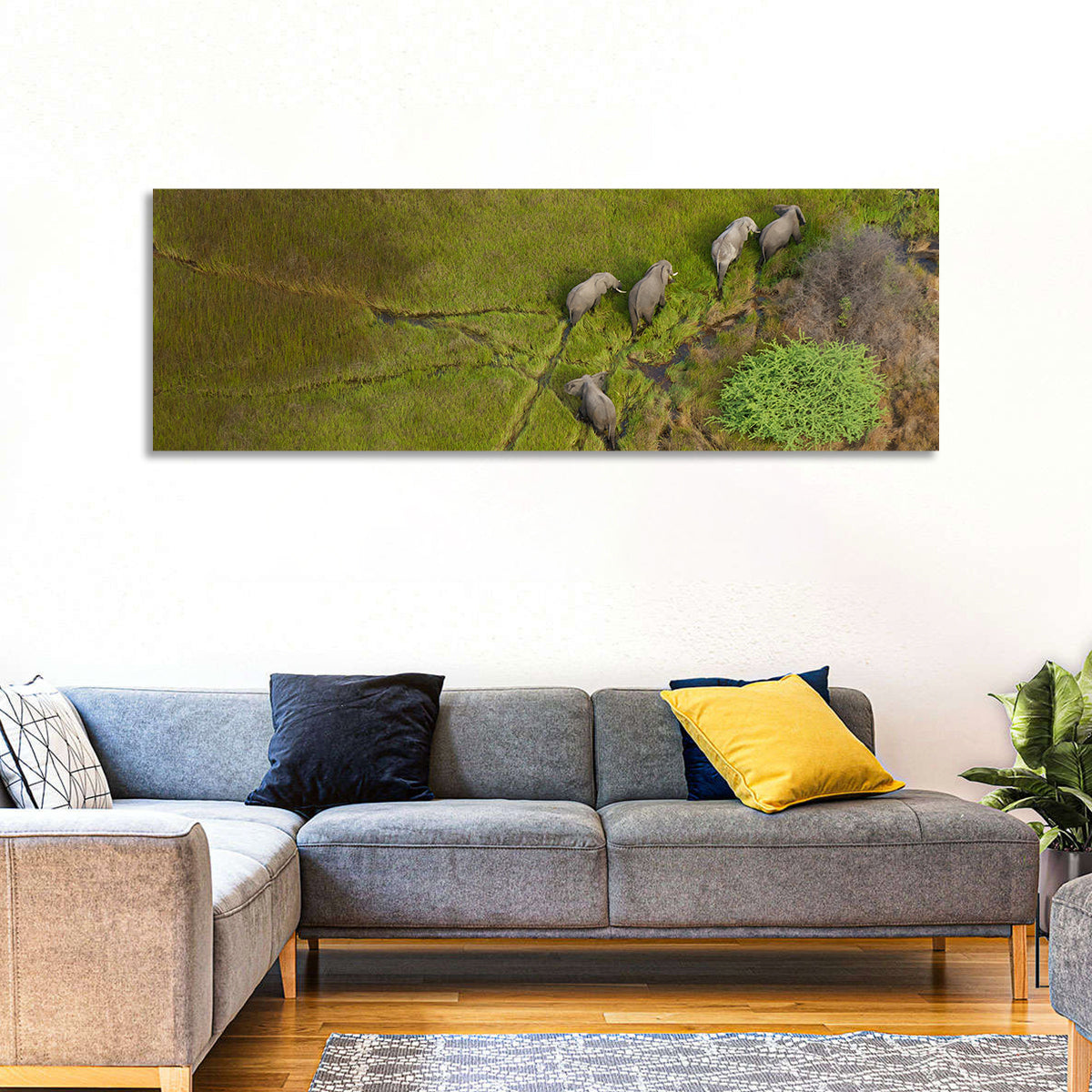 Aerial Herd of Elephants Wall Art in a room, panoramic