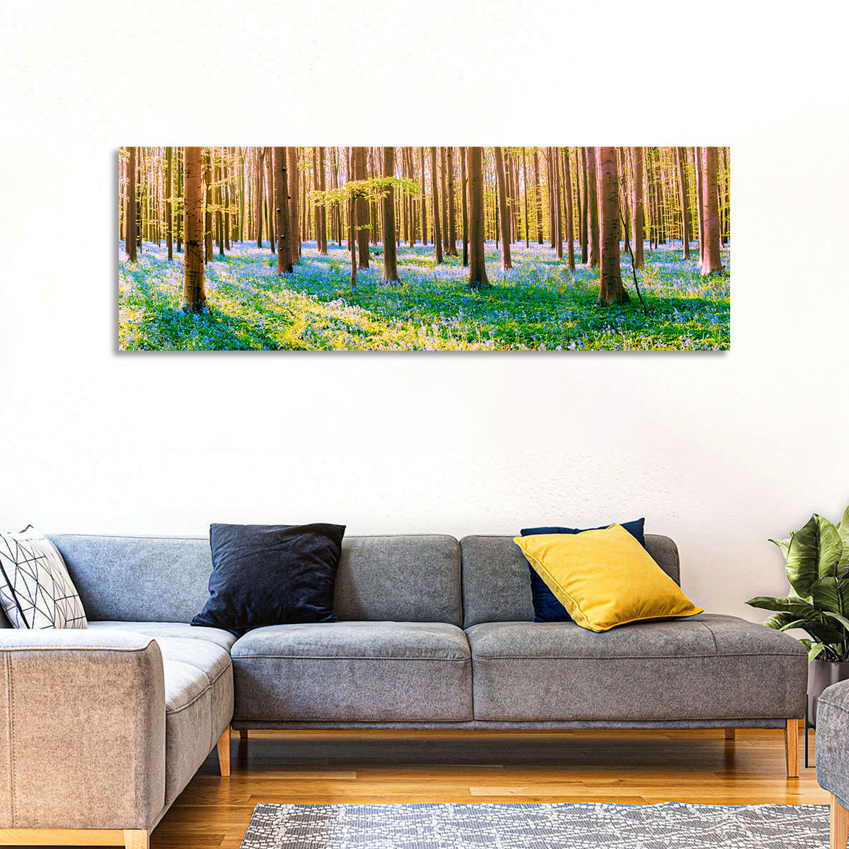 Hallerbos Bluebell Forest Wall Art